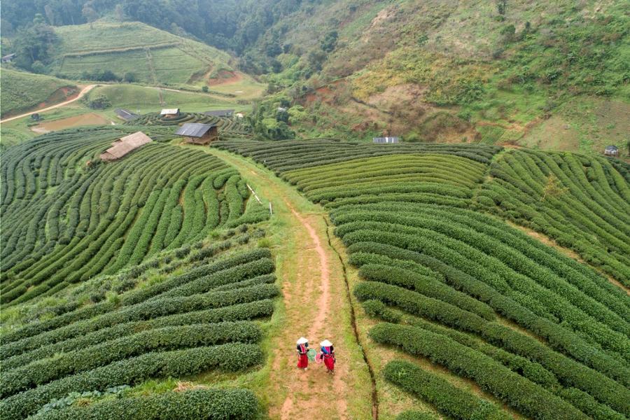 3 sites où faire des randonnées depuis Chiang Mai