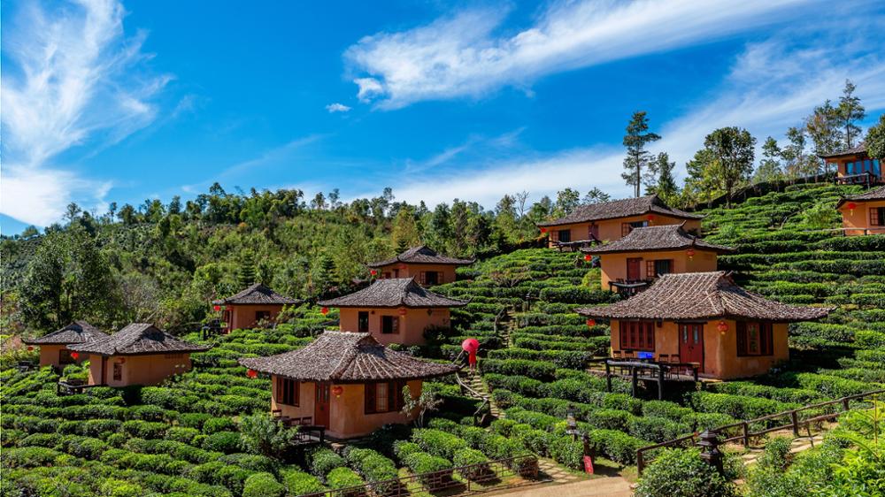 À la découverte des magnifiques plantations de thé du nord de Thaïlande 