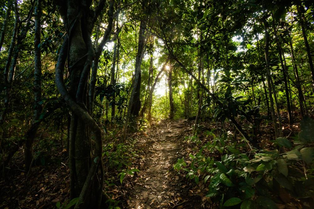 Les plus belles randonnées à faire à Koh Phangan