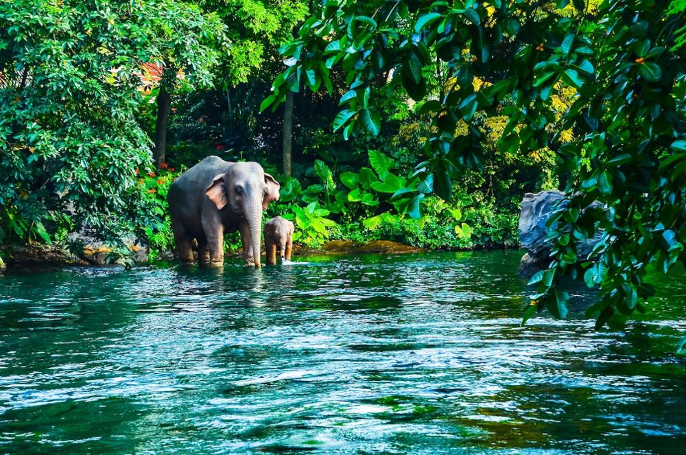 Que faire et que voir aux alentours de Bangkok ?