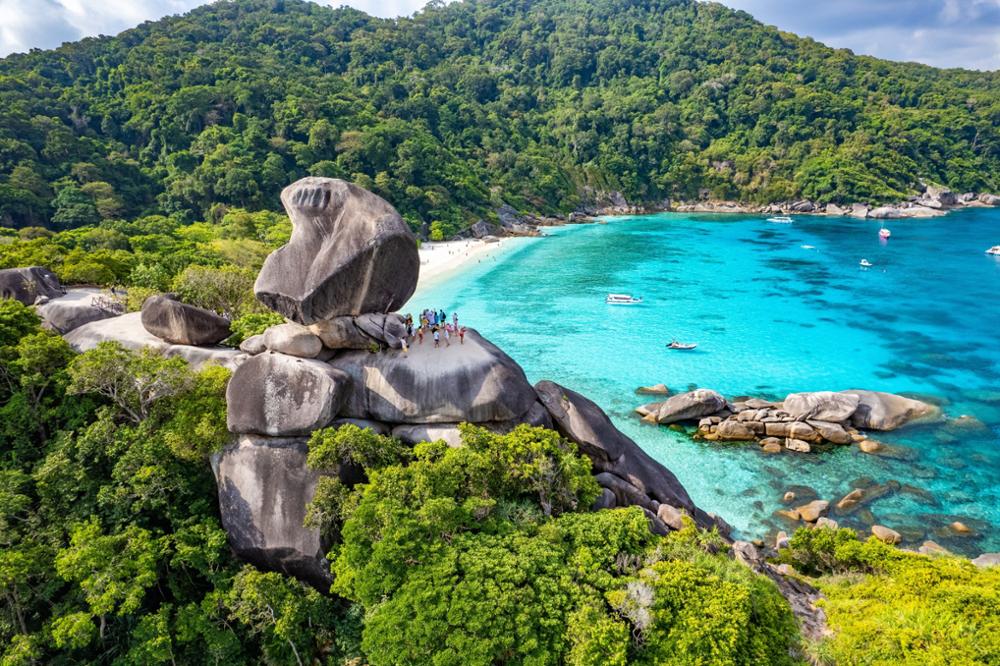 Où voir des tortues en Thaïlande ?